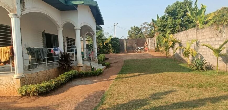 VASTE VILLA À LOUER YAOUNDÉ NYOM