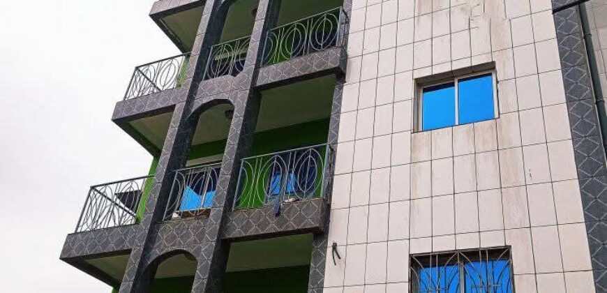 APPARTEMENT ET STUDIO A LOUER A ODZA TERMINUS