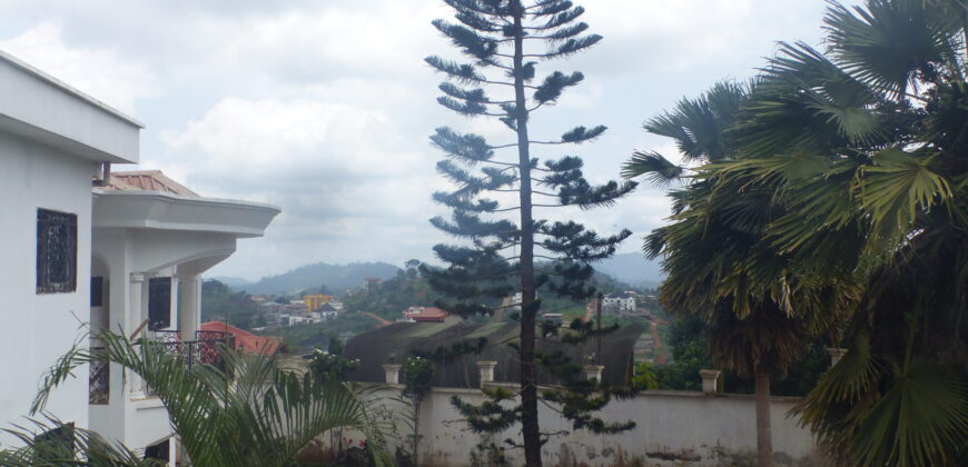 APPARTEMENT A LOUER A FEBE VILLAGE