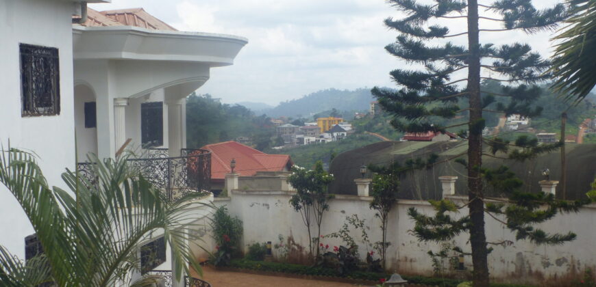 APPARTEMENT A LOUER A FEBE VILLAGE