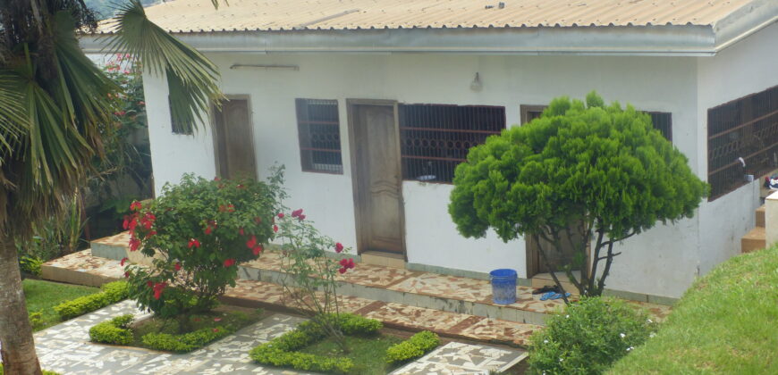 APPARTEMENT A LOUER A FEBE VILLAGE