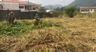 1293M2 A VENDRE BASTOS RUE DE LA PRÉSIDENCE