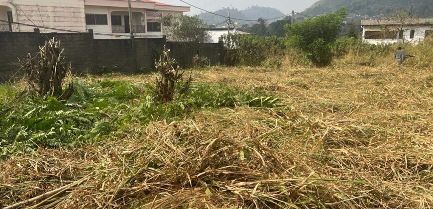 1293M2 A VENDRE BASTOS RUE DE LA PRÉSIDENCE