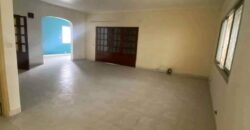 MAGNIFIQUE DUPLEX A LOUER A BONAPRISO