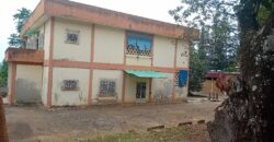 2000M2 avec une vieille maison vendre à BASTOS