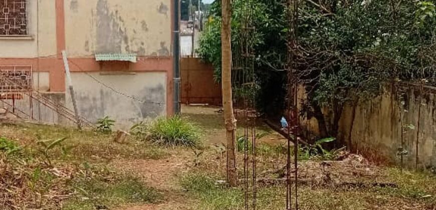2000M2 avec une vieille maison vendre à BASTOS