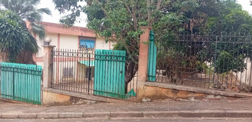 2000M2 avec une vieille maison vendre à BASTOS