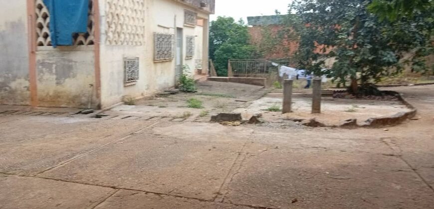 2000M2 avec une vieille maison vendre à BASTOS