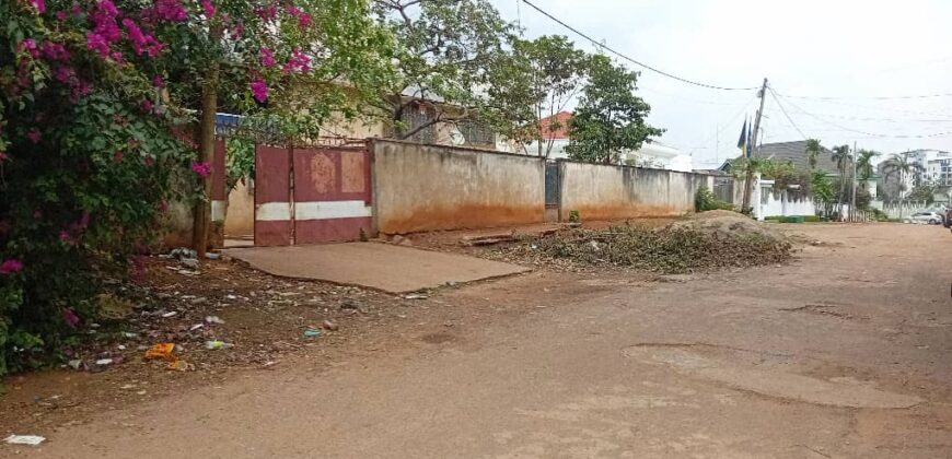 2083M2 À VENDRE À BASTOS