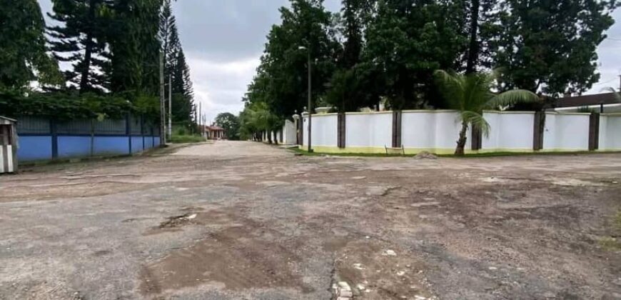 550 M2 titré a vendre a bonamousadi