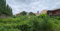 550 M2 titré a vendre a bonamousadi