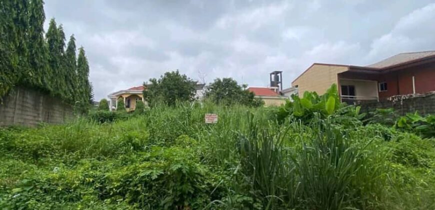 550 M2 titré a vendre a bonamousadi