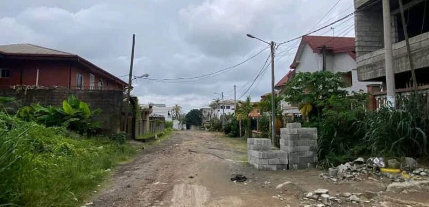 550 M2 titré a vendre a bonamousadi