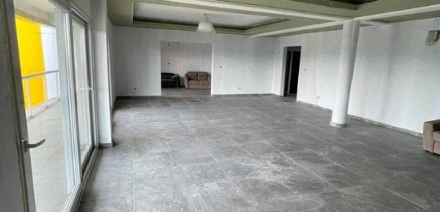 PENTHOUSE A LOUER A BONAPRISO