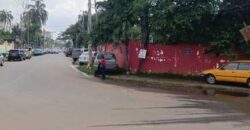 VASTE VILLA A LOUER A BASTOS