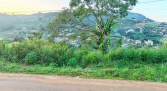 TERRAIN TITRE A VENDRE A BASTOS