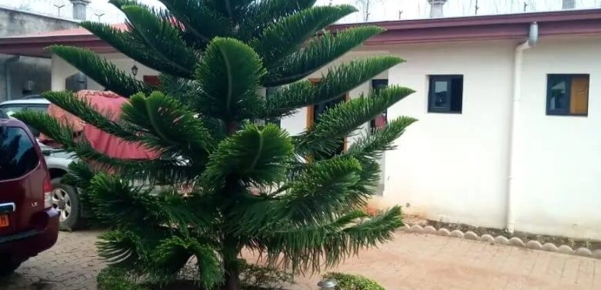 Duplex nouvellement construit avec dépendance à vendre à Odza Terminus