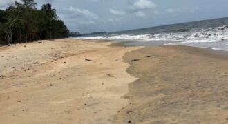 Terrain de 3 800 m² à vendre à Ebodjé Village Tortues