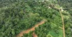 Terrain de 4 000 m² à vendre à Kribi Mpolongwé – Idéal projet hôtelier et touristique