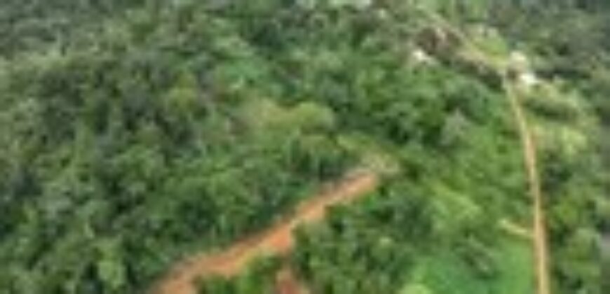 Terrain de 4 000 m² à vendre à Kribi Mpolongwé – Idéal projet hôtelier et touristique