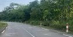 Terrain de 4 000 m² à vendre à Kribi Mpolongwé – Idéal projet hôtelier et touristique