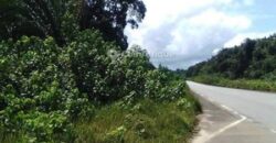 Terrain de 4 000 m² à vendre à Kribi Mpolongwé – Idéal projet hôtelier et touristique
