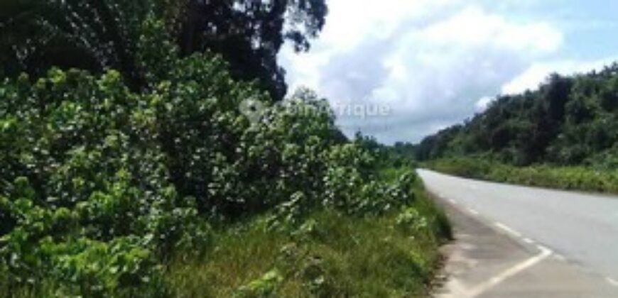 Terrain de 4 000 m² à vendre à Kribi Mpolongwé – Idéal projet hôtelier et touristique