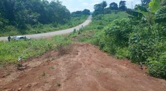 Terrain de 12 000 m² à vendre à Yaoundé Obak – Bordure route principale bitumée