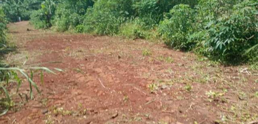 Terrain de 12 000 m² à vendre à Yaoundé Obak – Bordure route principale bitumée