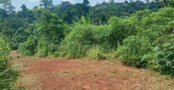 Terrain de 12 000 m² à vendre à Yaoundé Obak – Bordure route principale bitumée