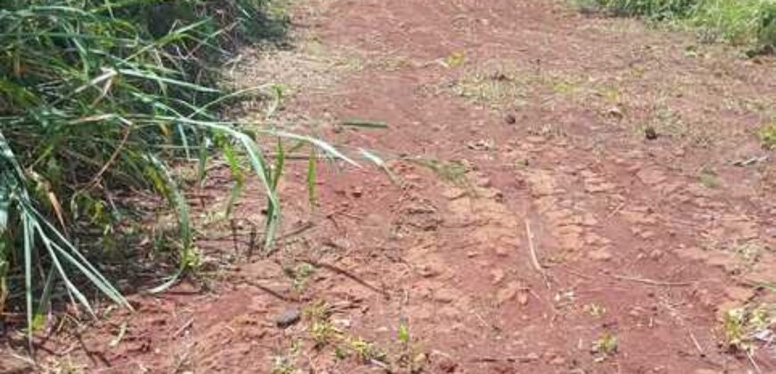 Terrain de 12 000 m² à vendre à Yaoundé Obak – Bordure route principale bitumée