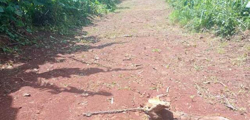 Terrain de 12 000 m² à vendre à Yaoundé Obak – Bordure route principale bitumée