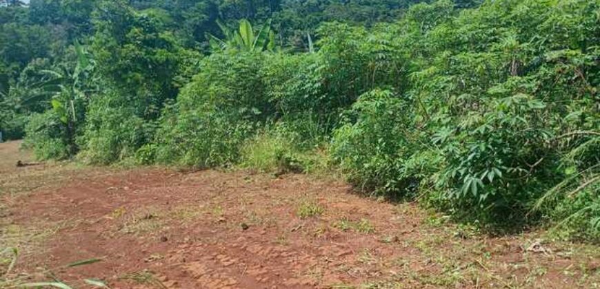 Terrain de 12 000 m² à vendre à Yaoundé Obak – Bordure route principale bitumée