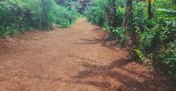 Terrain de 12 000 m² à vendre à Yaoundé Obak – Bordure route principale bitumée