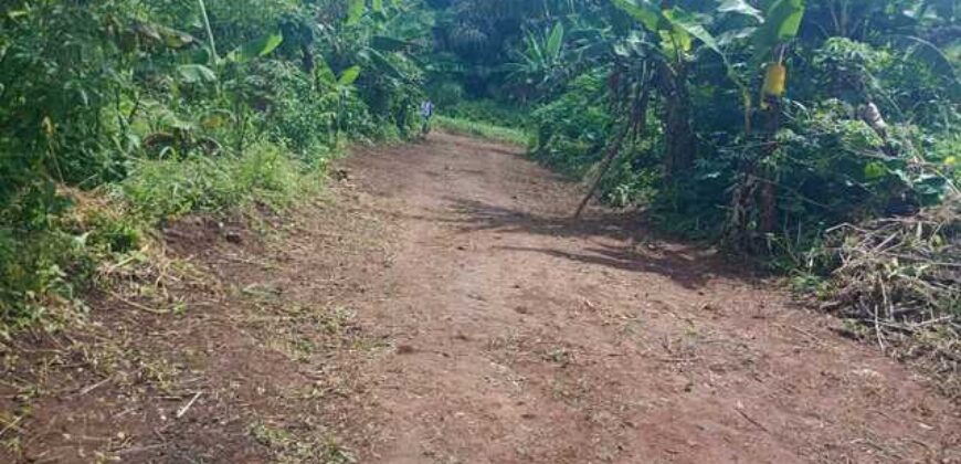 Terrain de 12 000 m² à vendre à Yaoundé Obak – Bordure route principale bitumée