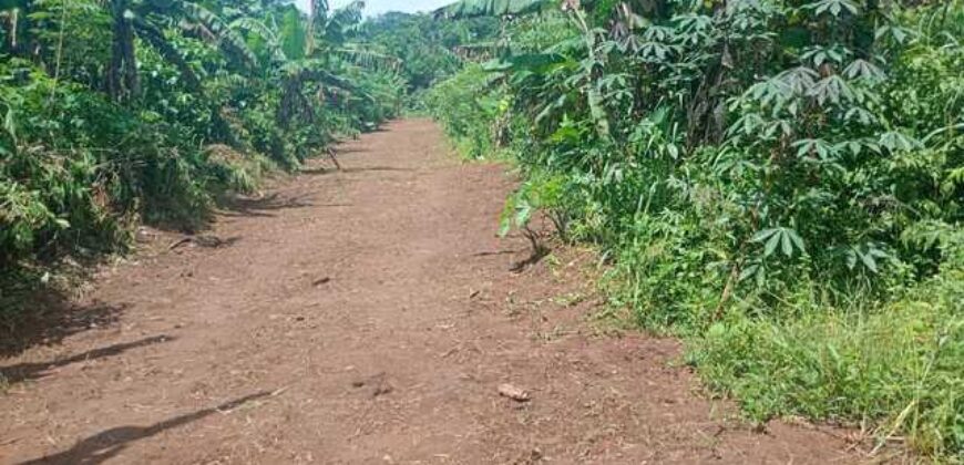 Terrain de 12 000 m² à vendre à Yaoundé Obak – Bordure route principale bitumée