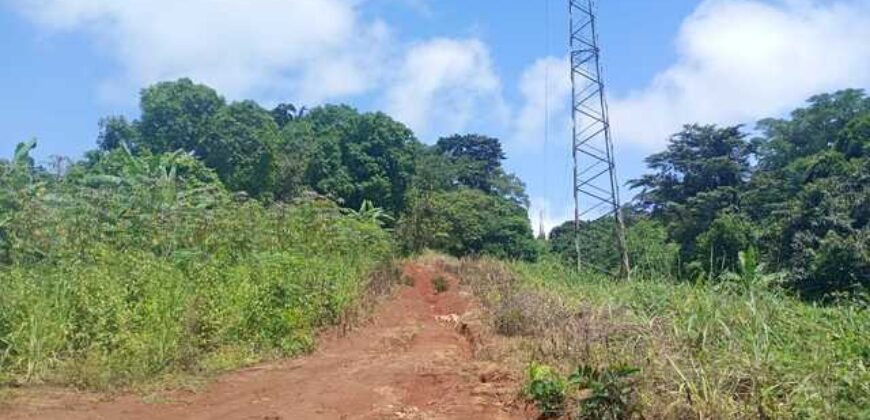 Terrain de 12 000 m² à vendre à Yaoundé Obak – Bordure route principale bitumée