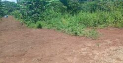 Terrain de 12 000 m² à vendre à Yaoundé Obak – Bordure route principale bitumée