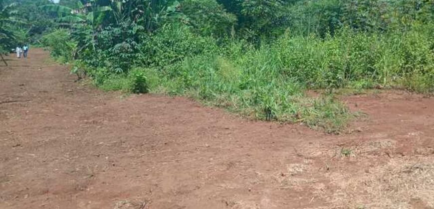 Terrain de 12 000 m² à vendre à Yaoundé Obak – Bordure route principale bitumée