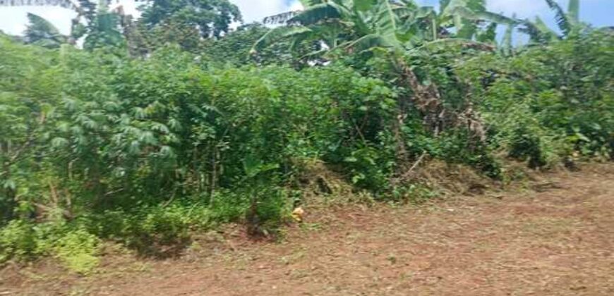 Terrain de 12 000 m² à vendre à Yaoundé Obak – Bordure route principale bitumée