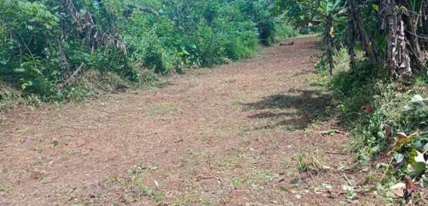 Terrain de 12 000 m² à vendre à Yaoundé Obak – Bordure route principale bitumée