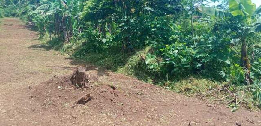 Terrain de 12 000 m² à vendre à Yaoundé Obak – Bordure route principale bitumée