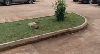 Appartement 3 chambres à louer – Emana, Yaoundé