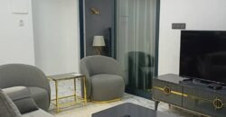 Studio meublé VIP haut standing à louer à Bastos