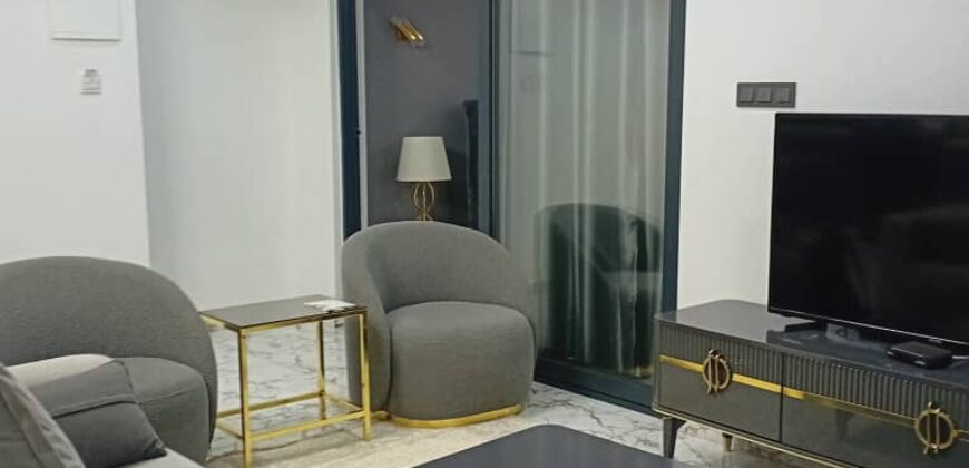Studio meublé VIP haut standing à louer à Bastos