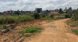 20 hectares titrés à vendre à Nsimalen Ekali (Cho Cho)