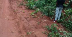 Terrain de 2500 m² en vente à Afanayoa – Yaoundé (Centre)