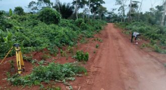 Terrain de 2500 m² en vente à Afanayoa – Yaoundé (Centre)